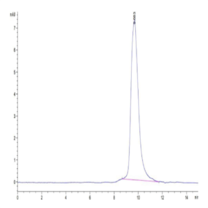 Monkeypox virus M1R Protein (M1R-VM11R)