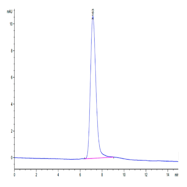 Human MANSC1 Protein (MAN-HM1C1)