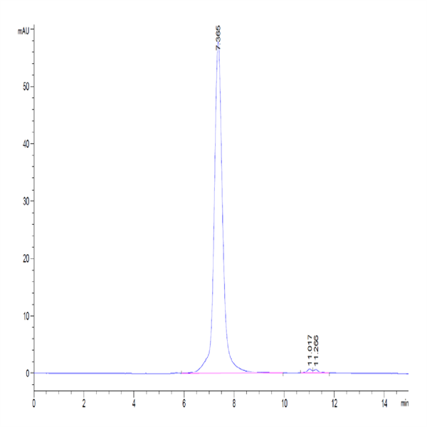 Cynomolgus MFAP4 Protein (MAP-CM104)