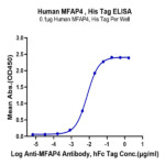 Human MFAP4 Protein (MAP-HM104)