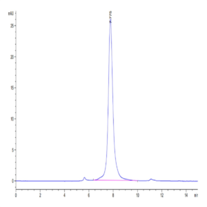 Human MFAP5 Protein (MAP-HM2P5)