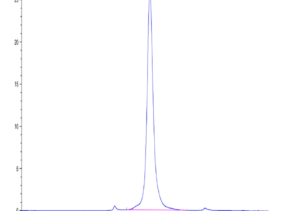 Human MFAP5 Protein (MAP-HM2P5)