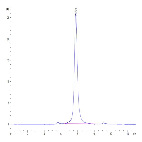 Human MFAP5 Protein (MAP-HM2P5) Human MFAP5 Protein (MAP-HM2P5)