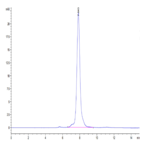 Mouse MFAP5 Protein (MAP-MM2P5)