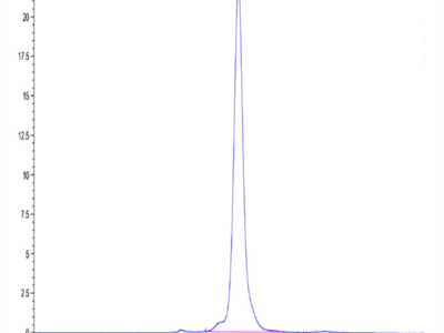 Mouse MFAP5 Protein (MAP-MM2P5)