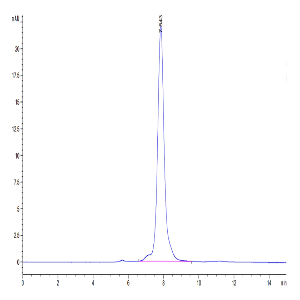 Mouse MFAP5 Protein (MAP-MM2P5) Mouse MFAP5 Protein (MAP-MM2P5)