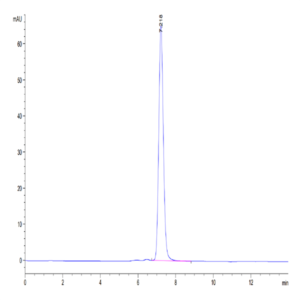 Human MCEMP1 Protein (MCE-HM201)