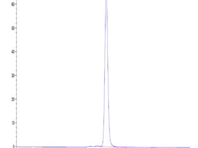 Human MCEMP1 Protein (MCE-HM201)