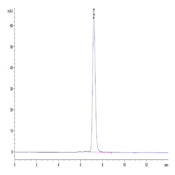 Human MCEMP1 Protein (MCE-HM201)
