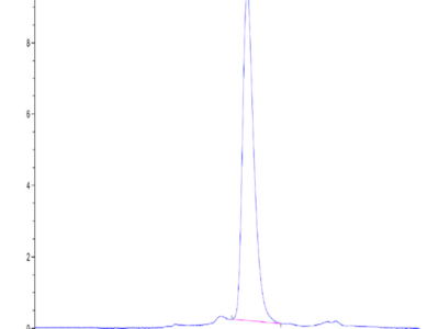 Mouse MADCAM1 Protein (MCM-MM101)