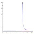 Cynomolgus MCP-1/CCL2 Protein (MCP-CM101)