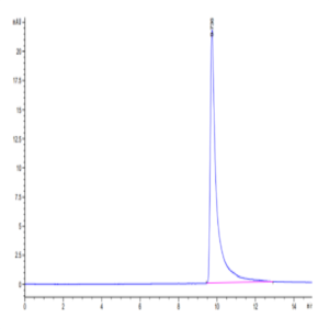 Cynomolgus MCP-1/CCL2 Protein (MCP-CM101)