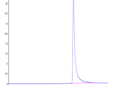 Cynomolgus MCP-1/CCL2 Protein (MCP-CM101)