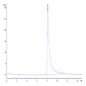 Human MCP-1/CCL2 Protein (MCP-HM401)