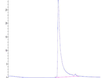 Human MCP-1/CCL2 Protein (MCP-HM401)