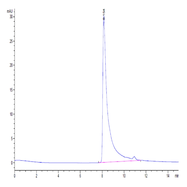 Human MCP-1/CCL2 Protein (MCP-HM401) Human MCP-1/CCL2 Protein (MCP-HM401)