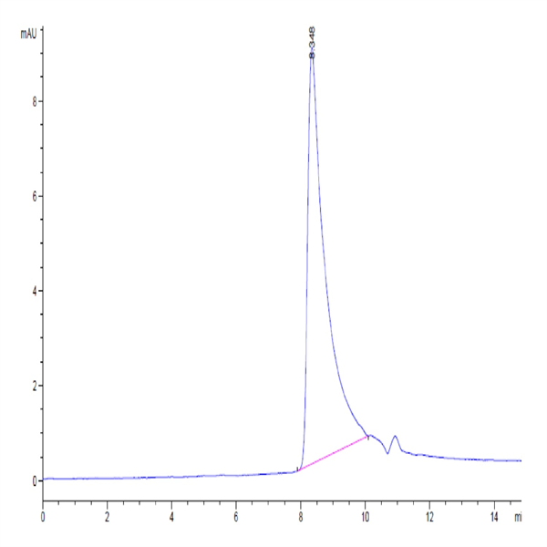 Biotinylated Human MCP-1/CCL2 Protein (MCP-HM401B) Biotinylated Human MCP-1/CCL2 Protein (MCP-HM401B)