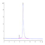 Human MERTK/Mer Protein (MEK-HM101)