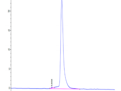 Human MERTK/Mer Protein (MEK-HM101)