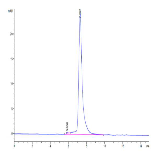 Human MERTK/Mer Protein (MEK-HM101) Human MERTK/Mer Protein (MEK-HM101)