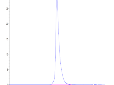 Human MERTK/Mer Protein (MEK-HM301)