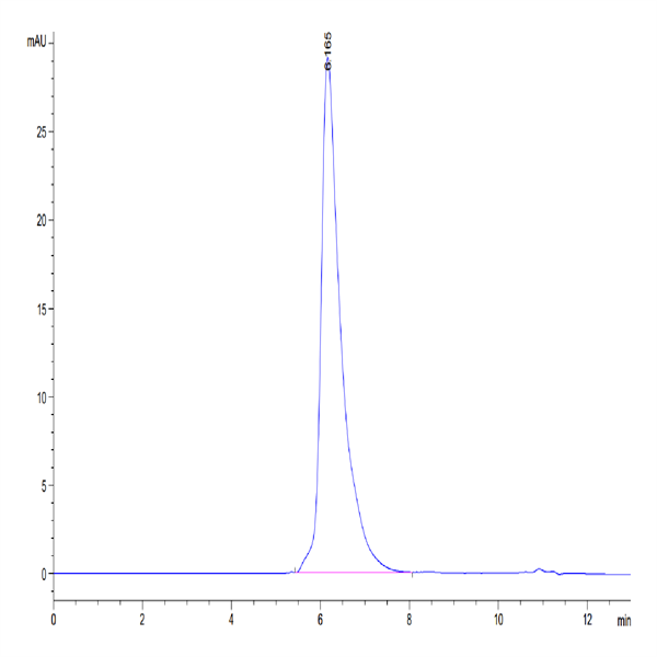 Human MERTK/Mer Protein (MEK-HM301)