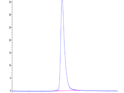 Mouse MERTK/Mer Protein (MEK-MM101)