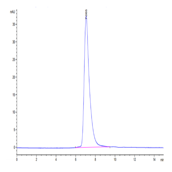 Mouse MERTK/Mer Protein (MEK-MM101) Mouse MERTK/Mer Protein (MEK-MM101)