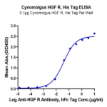 Cynomolgus HGF R/c-MET Protein (MET-CM101)