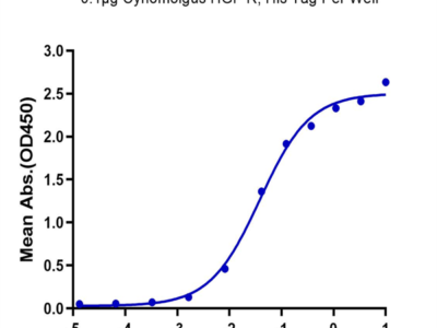 Cynomolgus HGF R/c-MET Protein (MET-CM101)