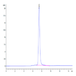 Cynomolgus HGF R/c-MET Protein (MET-CM101)