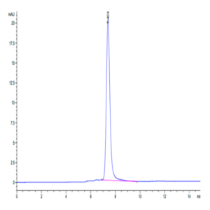 Cynomolgus HGF R/c-MET Protein (MET-CM101)