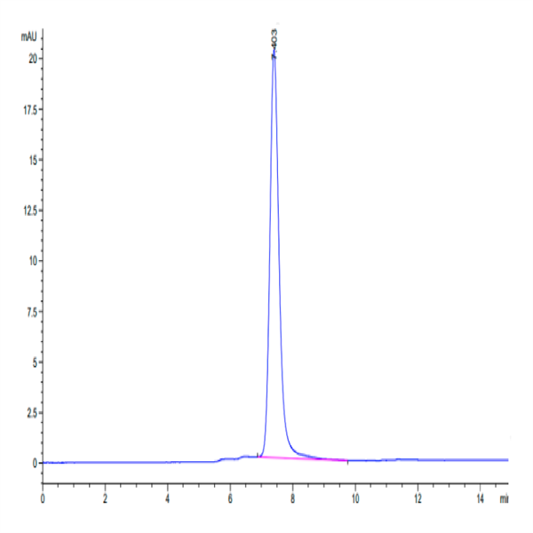 Cynomolgus HGF R/c-MET Protein (MET-CM101)