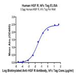 Human HGF R/c-MET Protein (MET-HM201)