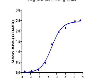Human HGF R/c-MET Protein (MET-HM201)
