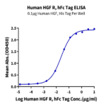 Human HGF R/c-MET Protein (MET-HM201)