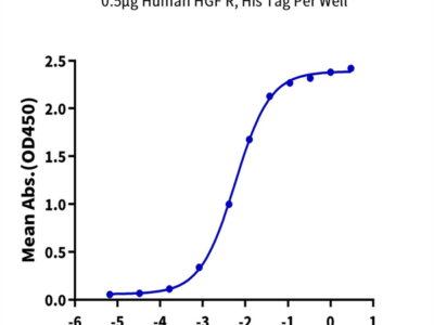 Human HGF R/c-MET Protein (MET-HM401)