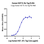 Human HGF R/c-MET Protein (MET-HM401)