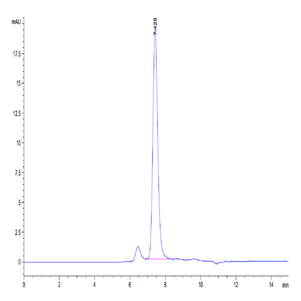 Human HGF R/c-MET Protein (MET-HM401)