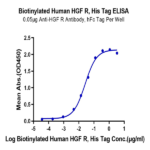 Biotinylated Human HGF R/c-MET Protein (MET-HM401B)