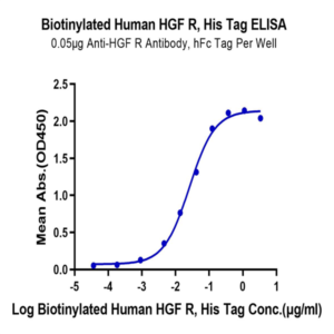 Biotinylated Human HGF R/c-MET Protein (MET-HM401B)
