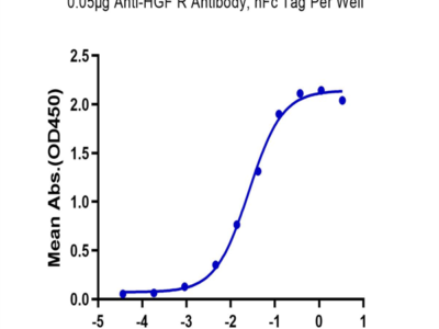 Biotinylated Human HGF R/c-MET Protein (MET-HM401B)