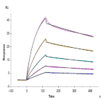 Mouse IgG1 Fc Protein (MFC-MM001)