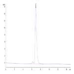 Mouse IgG1 Fc Protein (MFC-MM001)