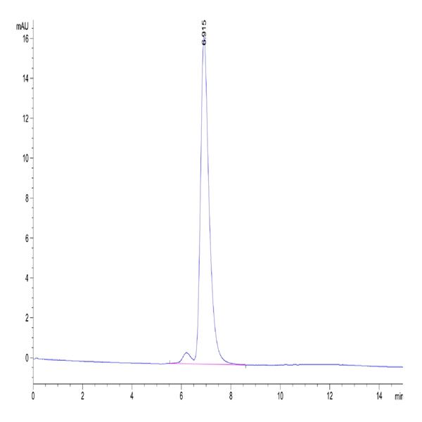 Mouse IgG1 Fc Protein (MFC-MM001)