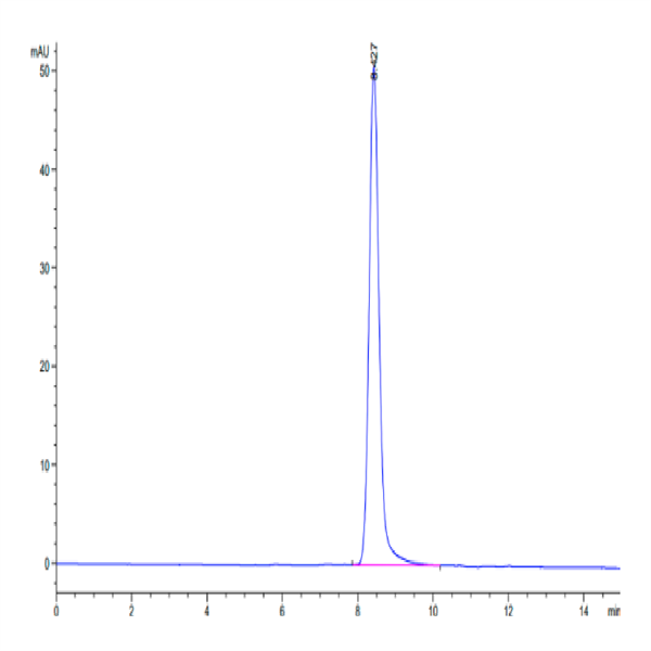 Human CD228/MFI2 Protein (MFI-HM128) Human CD228/MFI2 Protein (MFI-HM128)