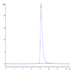 Mouse CD228/MFI2 Protein (MFI-MM128)