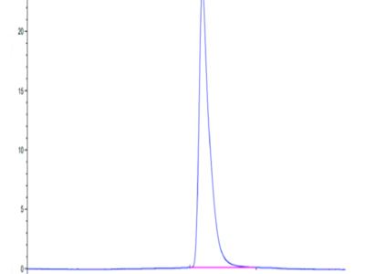 Mouse CD228/MFI2 Protein (MFI-MM128)