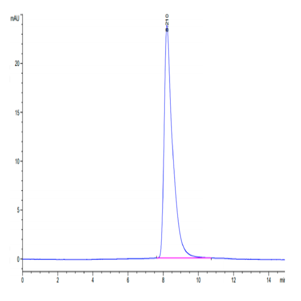 Mouse CD228/MFI2 Protein (MFI-MM128) Mouse CD228/MFI2 Protein (MFI-MM128)
