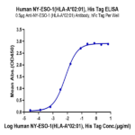 Human HLA-A*02